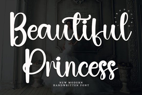 Beautiful Princess Font for Handmade Branding