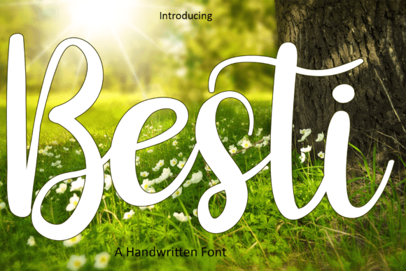 Besti: A Playful Handwritten Font for Small Business Branding