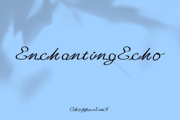Enchanting Echo Typeface for Elegant Branding